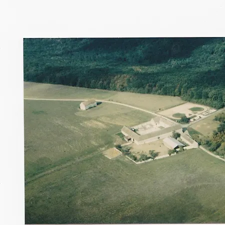 Haras De La Fontaine Droopy Poligny (Seine-et-Marne)